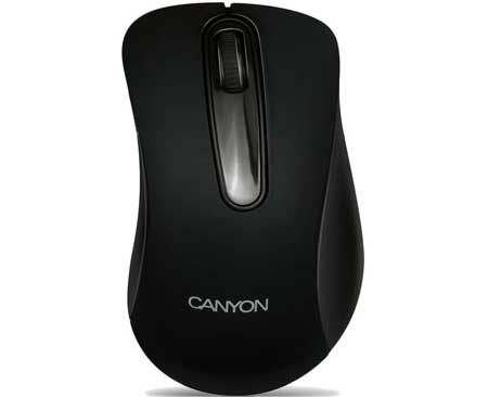   Canyon CNE-CMSW2 USB black