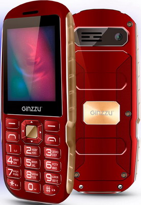 все цены на Мобильный телефон Ginzzu R1D красный онлайн