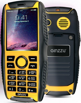 все цены на Мобильный телефон Ginzzu R 41 D онлайн