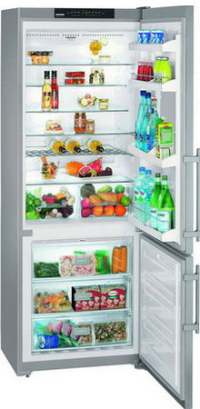Фото Двухкамерный холодильник Liebherr. Купить с доставкой