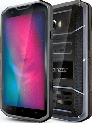все цены на Мобильный телефон Ginzzu RS 96 D онлайн