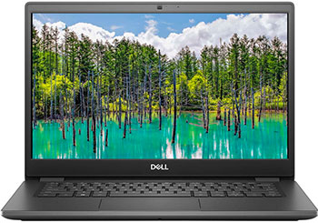

Ноутбук Dell Latitude 3510 (3510-8756) grey