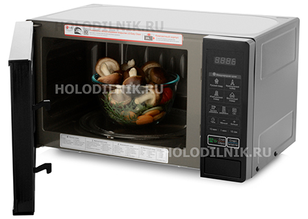 ������������� ���� - ��� LG MS-2042 DB