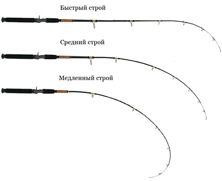 ����� ����������� ������