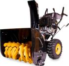 �������������� ������ ���������� Champion ST1376E