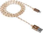 ������ �������� Canyon ��� iPad / iPhone 8-pin Lightning - USB 20 CFI-3 1� ������� CNE-CFI3GO