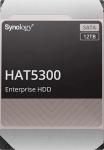 ������� ���� Synology 3.5 12Tb SATA III 7200rpm 256Mb (HAT5300-12T)