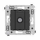 ������� DKC ������� ������������� ��������� TV �� Avanti ������ �������