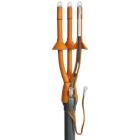 ������� ��� �������������� ��� ����� ��������� �������� 3�����-10-70/120-�