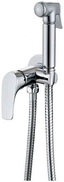 Изображение товара Смеситель с гигиеническим душем Aquanet Atletic AF310-52C хром