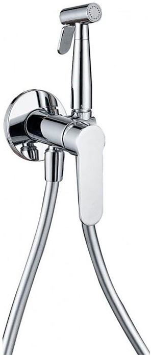 Изображение товара Смеситель с гигиеническим душем Aquanet Passion AF300-52С хром