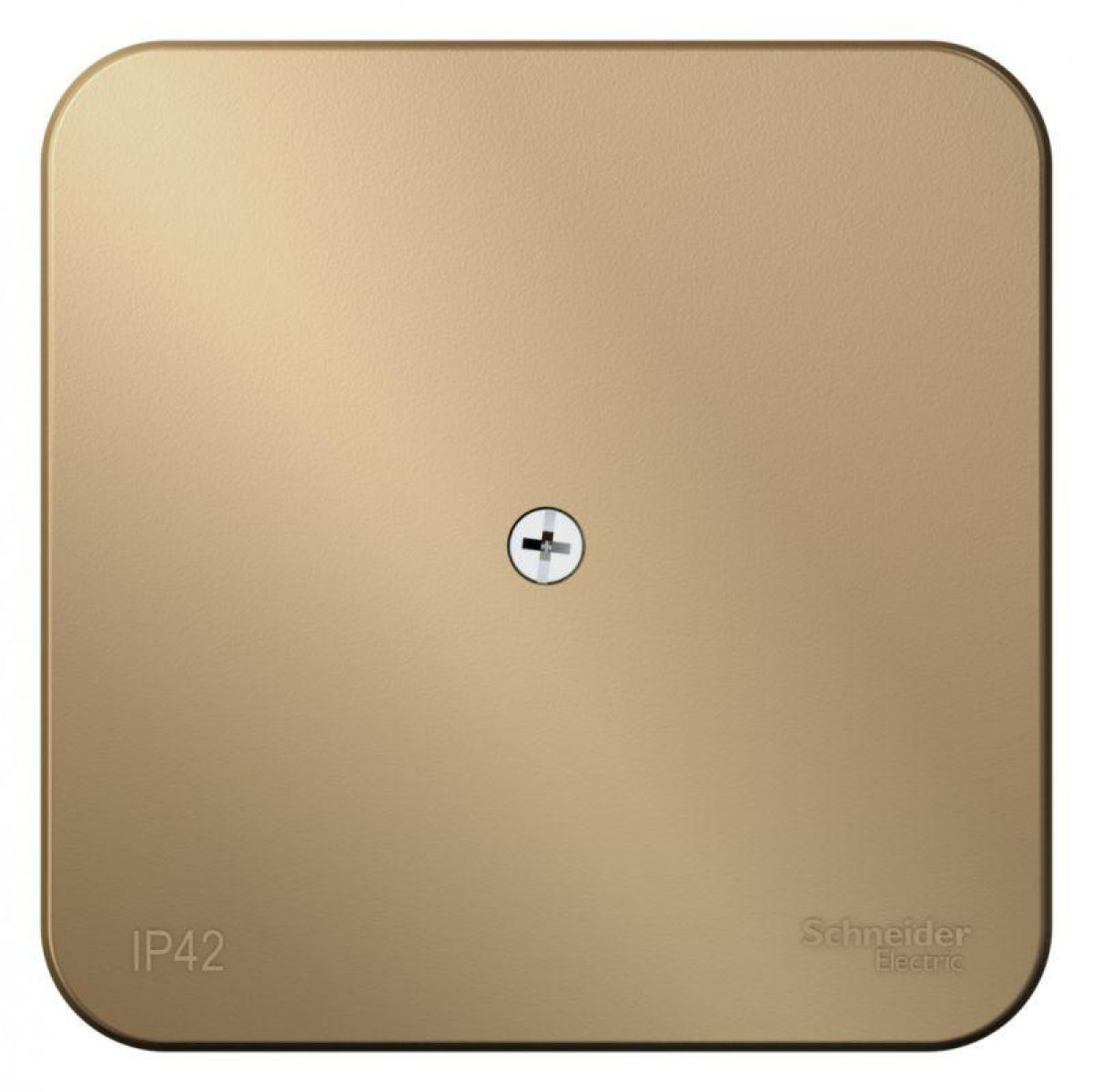 Изображение товара Рамки и основания для ЭУИ Systeme Electric SE ОП Blanca IP42 титан