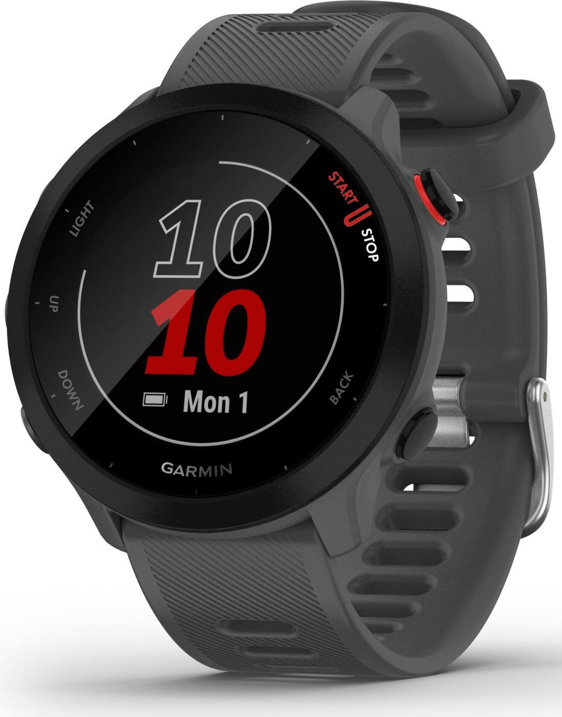 Изображение товара Спортивные часы Garmin Forerunner 55 Monterra Gray