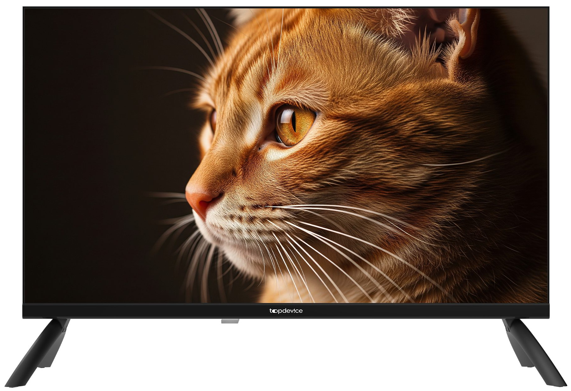 Изображение товара Телевизор Topdevice 24 TDHTV24NHD_BK
