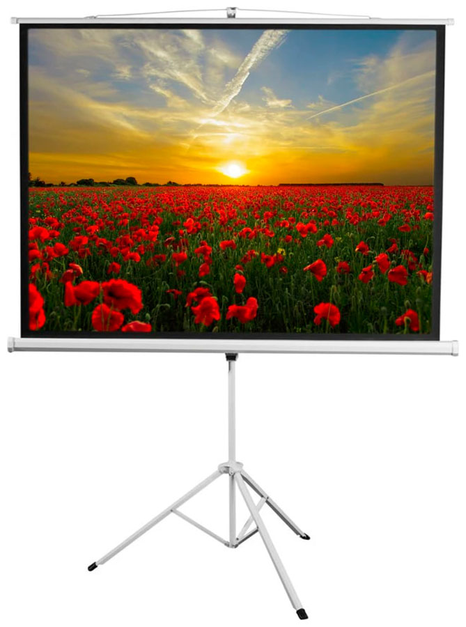 Изображение товара Экран на штативе Digis DSKD-4302 Kontur-D 86 дюймов 4:3 безопасности и высокой яркости