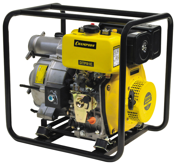 Изображение товара Насос Champion DTP 81 E