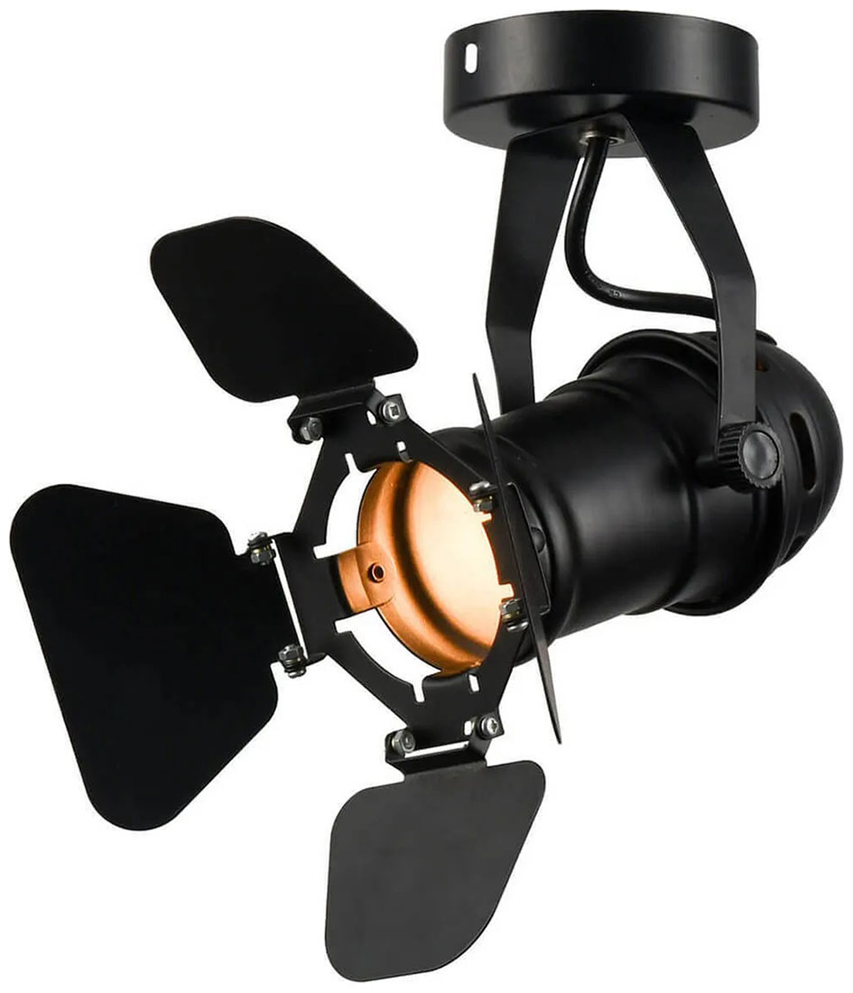 Изображение товара Потолочный светильник Lussole Loft Expression, LSP-9838