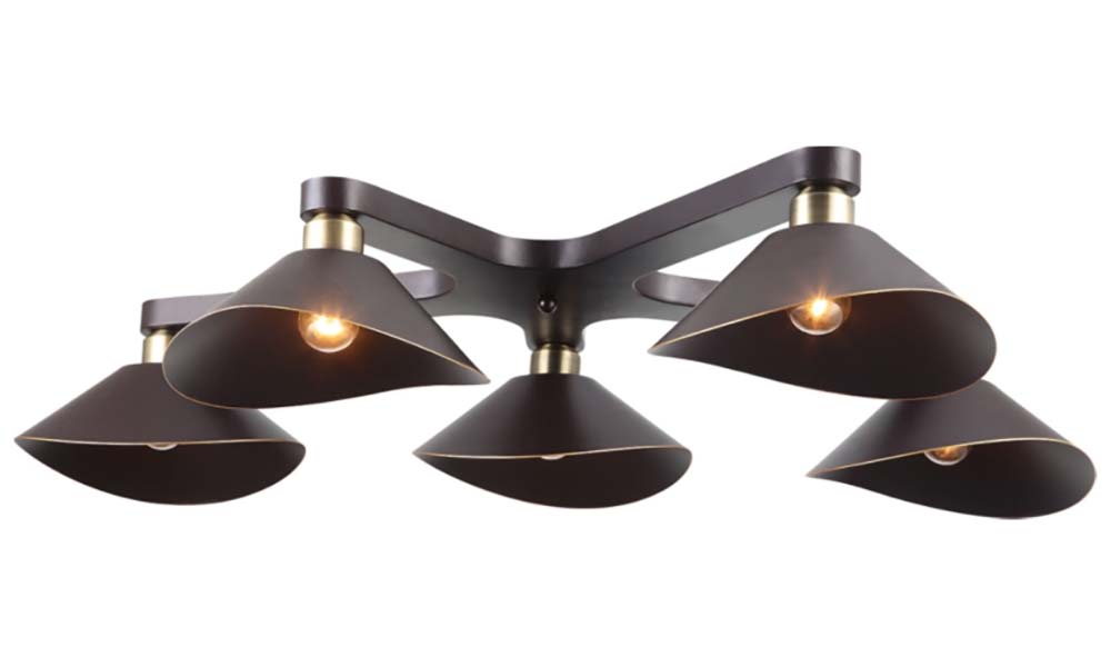 Изображение товара Потолочная люстра Lussole Loft Opelika GRLSP-9535 для интерьера в стиле Лофт