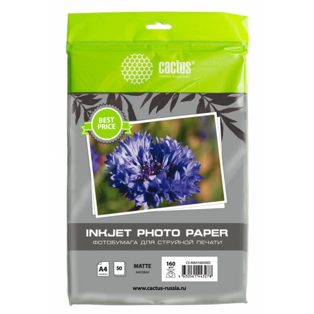 Изображение товара Фотобумага Cactus CS-MA416050ED A4/160г/м2/50л./белый матовое для струйной печати