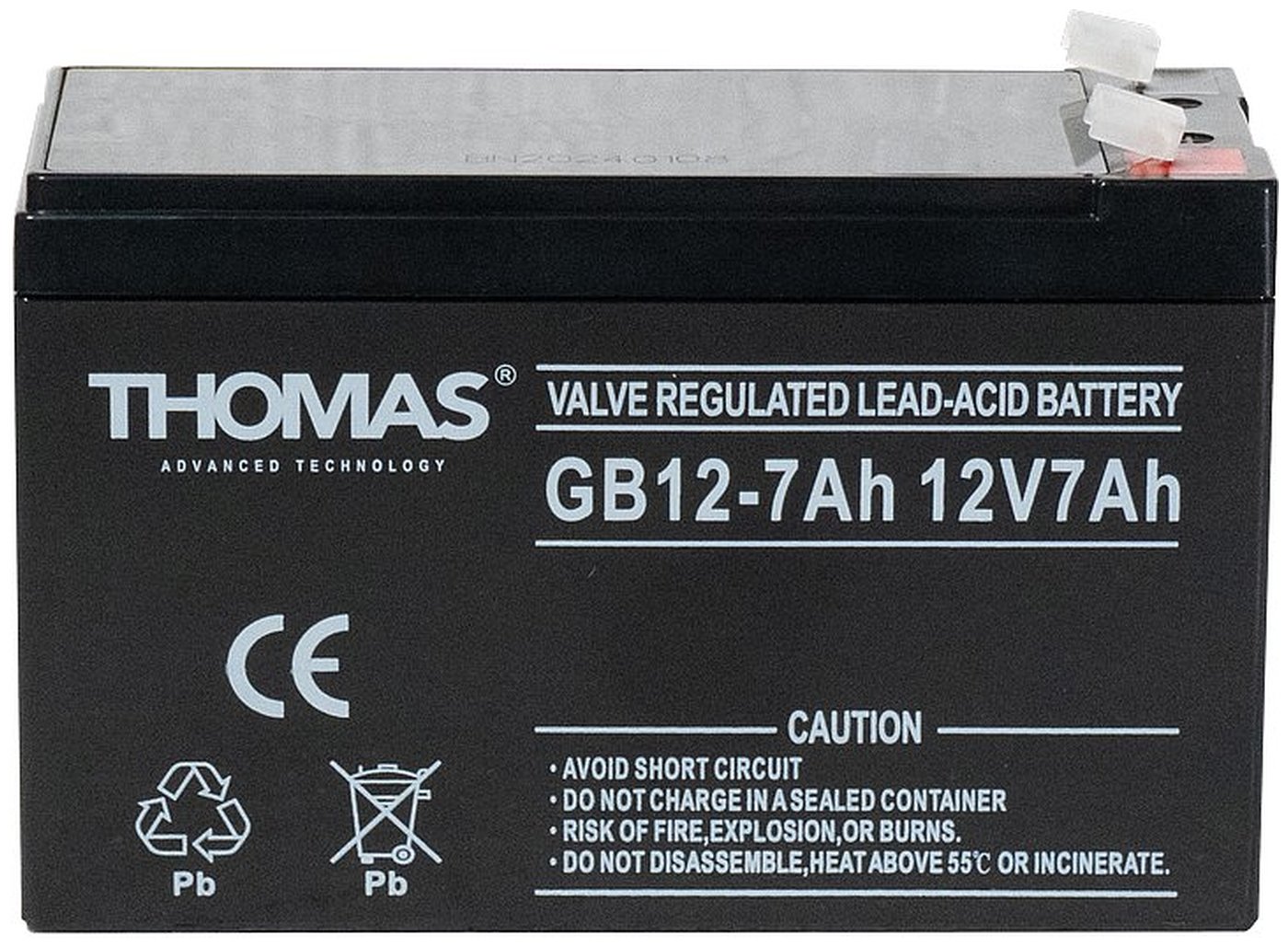 Аккумуляторная батарея Thomas GB12-7 12V7Ah 1340₽