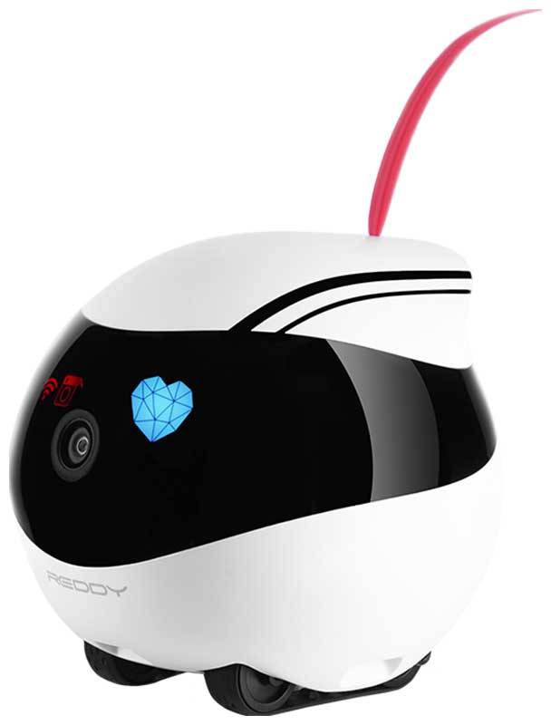 

Робот-помощник Red Solution Reddy AIR