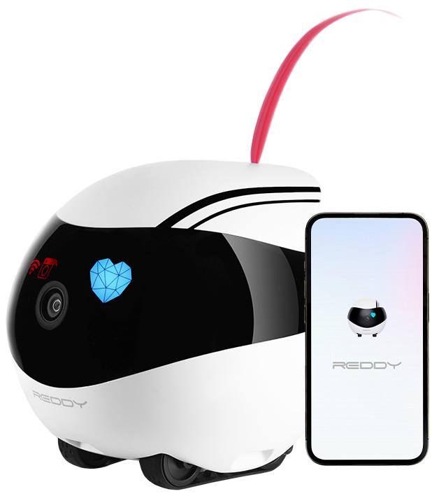 Изображение товара Умный робот-помощник Red Solution Reddy AIR с камерой Wi-Fi управление