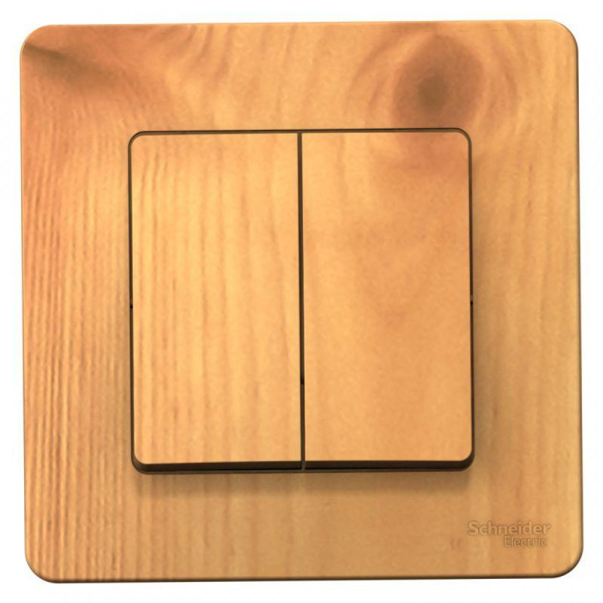 Изображение товара Выключатель 2-кл Blanca 10А IP20 для скрытой установки, Россия