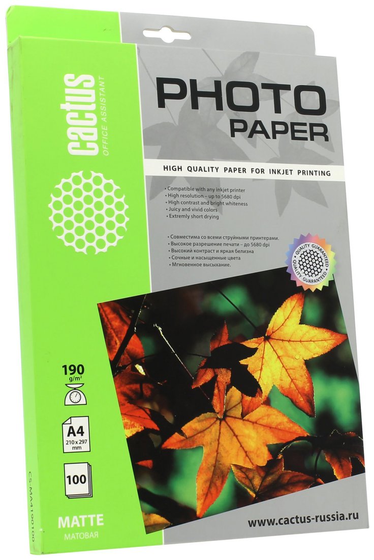 Изображение товара Фотобумага Cactus CS-MA4190100 A4/190г/м2/100л./белый матовое для струйной печати