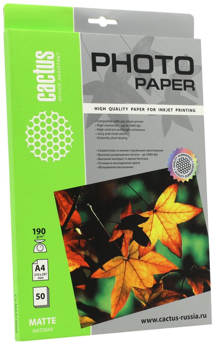 Изображение товара Фотобумага Cactus CS-MA419050 A4/190г/м2/50л./белый матовое для струйной печати