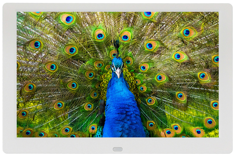 Изображение товара Цифровая фоторамка Digma 10.1 PF-1043 IPS 1280x800 белая