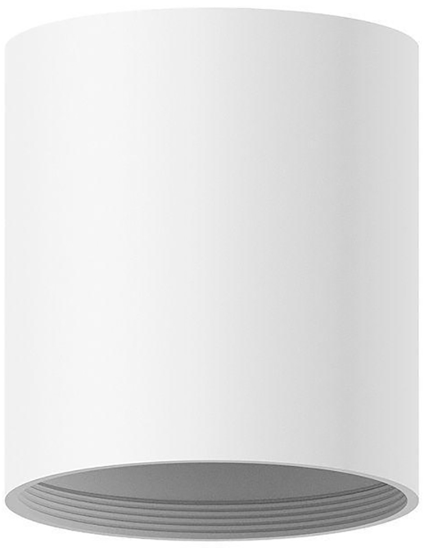 Изображение товара Корпус светильника Ambrella Light DIY Spot C7421