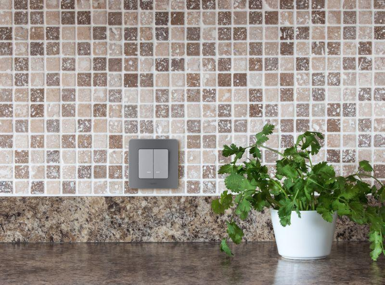 Изображение товара Выключатель 2-кл. Inspiria 10А IP20 с подсветкой, механ. алюм.