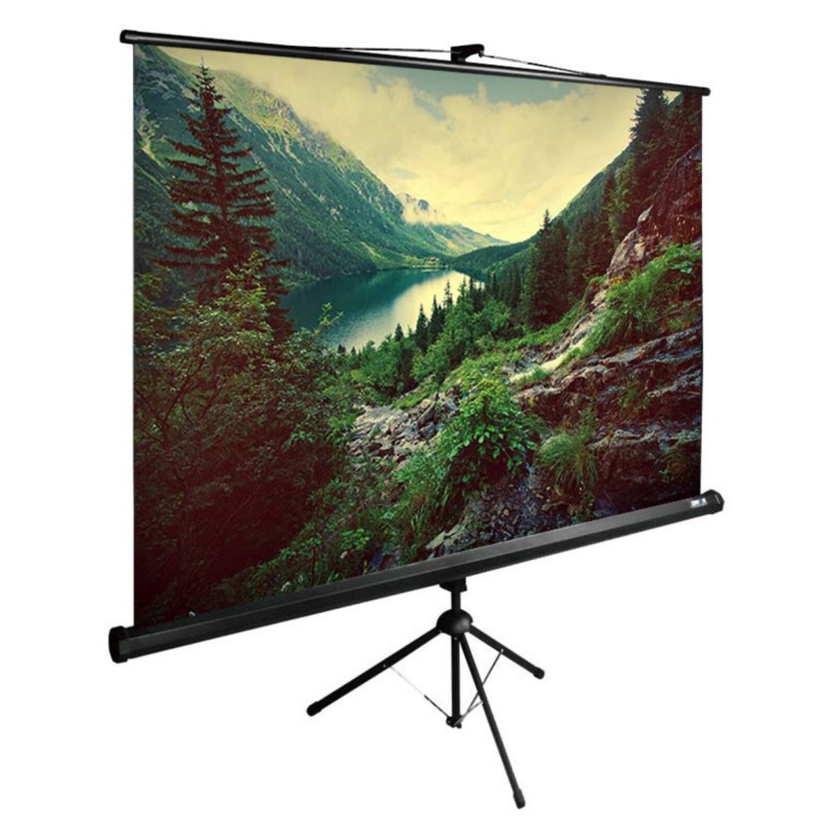 Изображение товара Экран Cactus 220x220см TriExpert CS-PSTE-220x220-BK 1:1 напольный рулонный черный