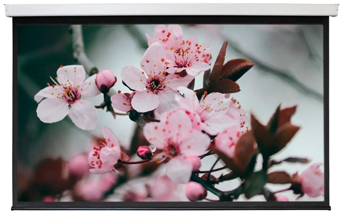 Изображение товара Экран с электроприводом Digis DSEF 16905 Electra-F 120 дюймов белый