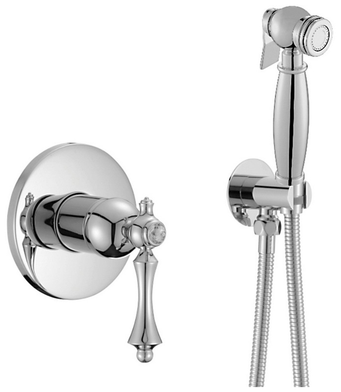 Изображение товара Гигиенический душ со смесителем Rose R01/хром (R0105)