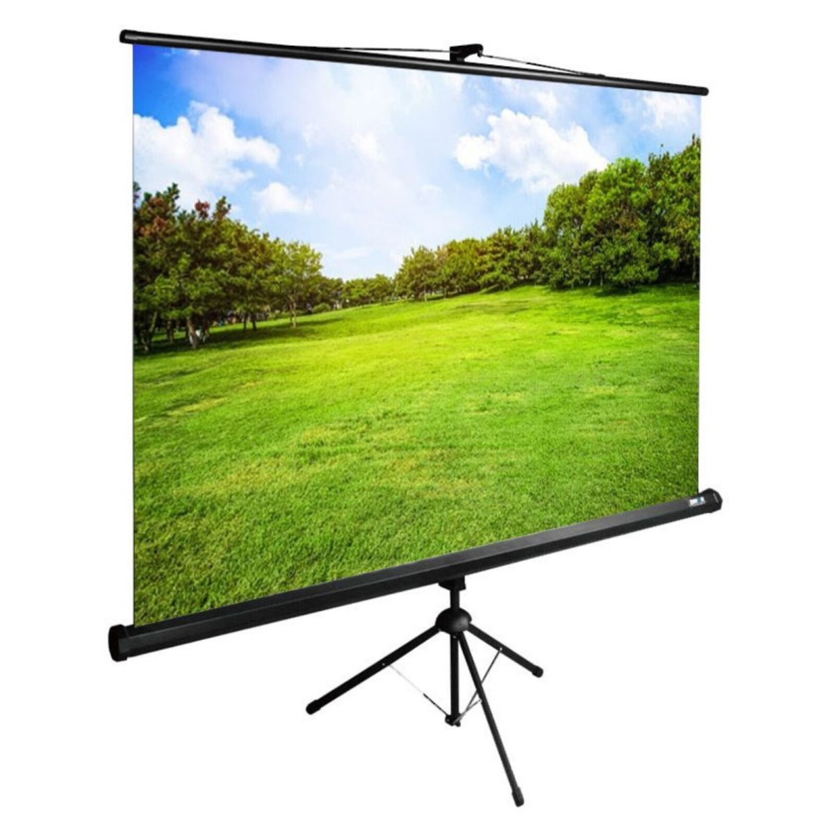 Изображение товара Экран Cactus 150x200см TriExpert CS-PSTE-200x150-BK напольный рулонный черный 4:3