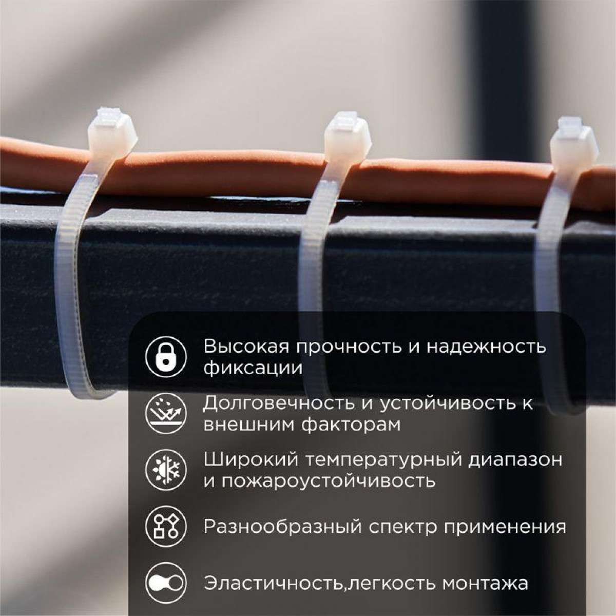 Изображение товара Кабели, провода и аксессуары Rexant Хомут кабельный 2.5х100 нейл. бел. (уп.100шт)