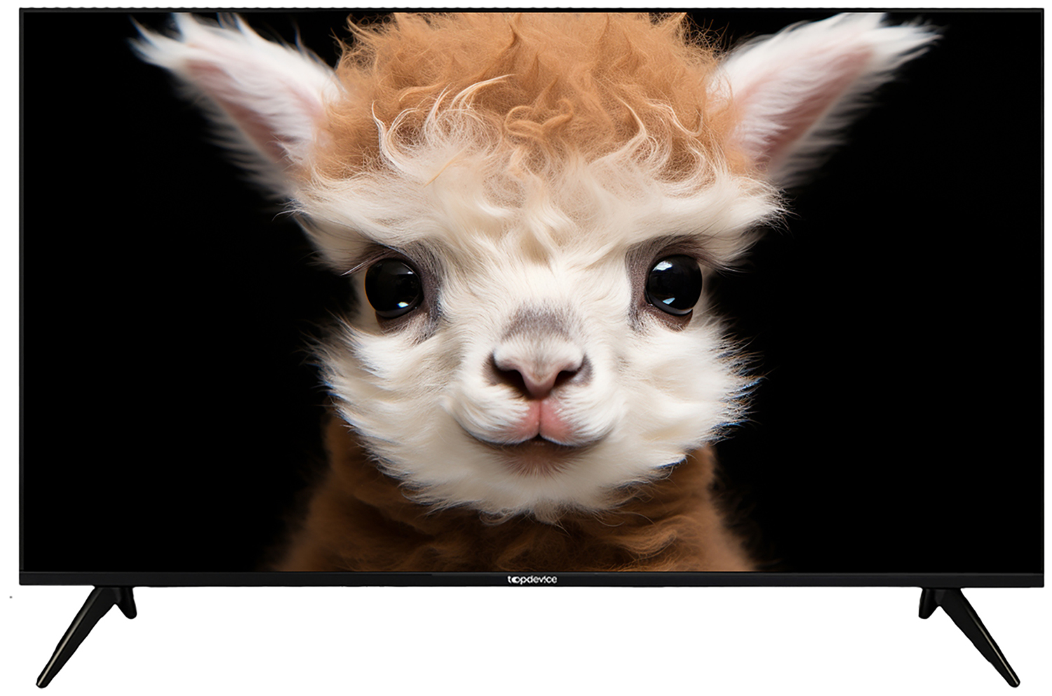 Изображение товара Телевизор Topdevice TDTV50ES13U_BK