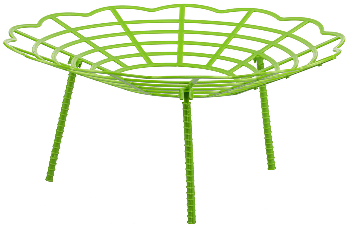 

Подставка-опора Amigo для клубники 5 шт 77705, Зеленый
