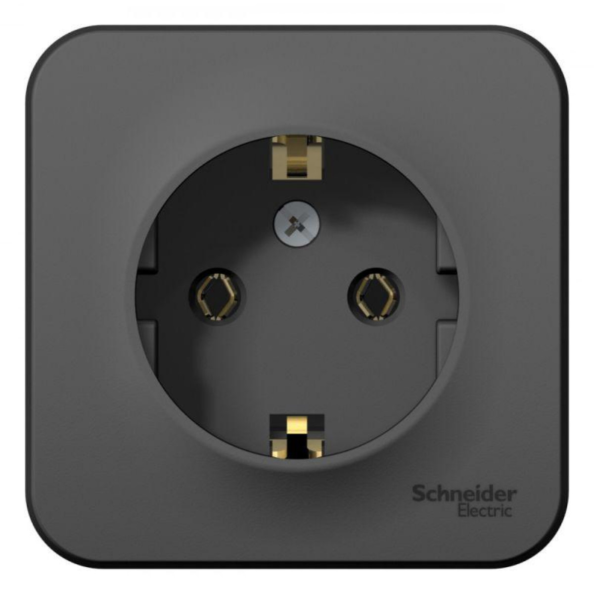 Изображение товара Розетка Systeme Electric Blanca 16А IP20 для открытого монтажа без шторок