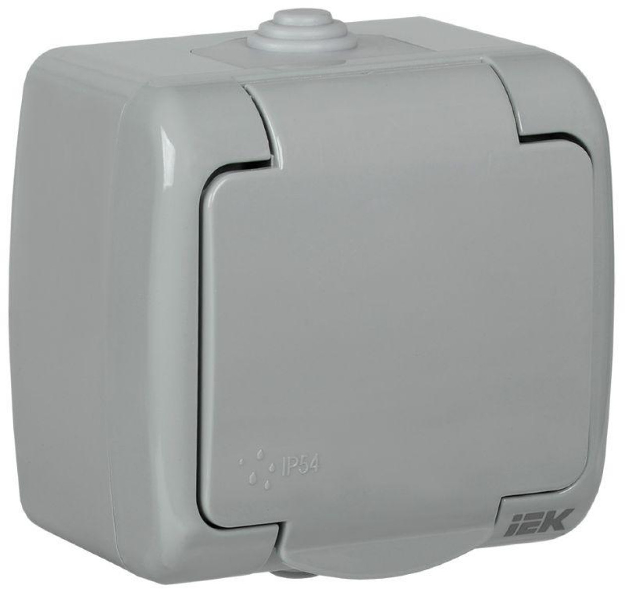 Изображение товара Розетка IEK РСш12-2-А 16А IP54 с крышкой заземленная монтаж накладной