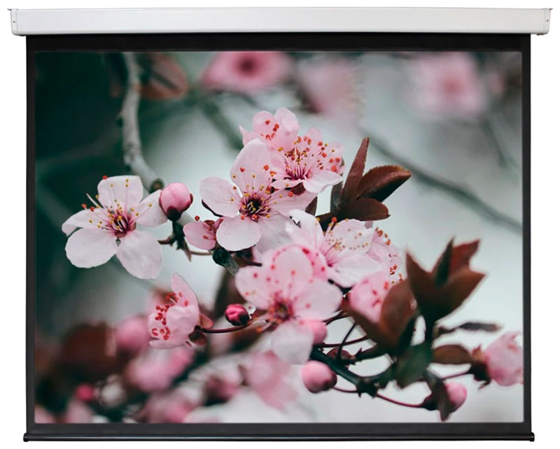 Изображение товара Экран настенный с электроприводом Digis DSEF-4307 Electra-F, формат 4:3, 200" 408x317, рабочая поверхность 400x300 MW