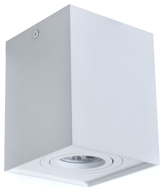 Изображение товара Современный накладной светильник Pulton белый для прихожей 1 м2 галоген 35W