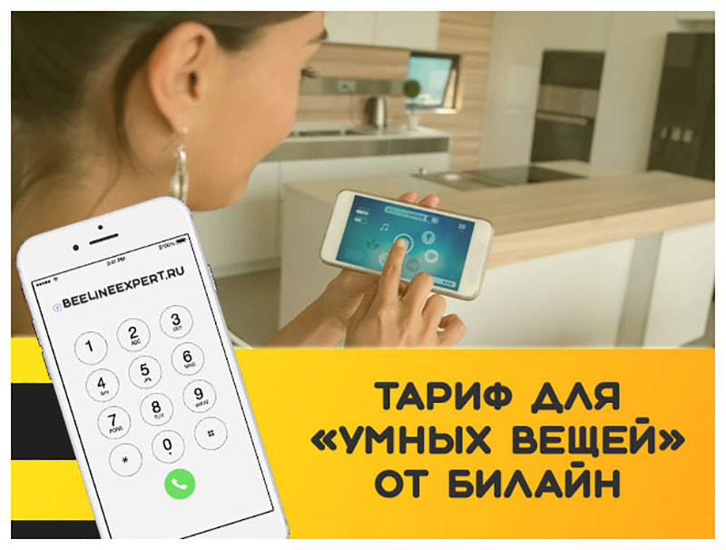 Изображение товара Карта памяти Билайн для умных устройств SR 100 - тариф 100 Р/мес
