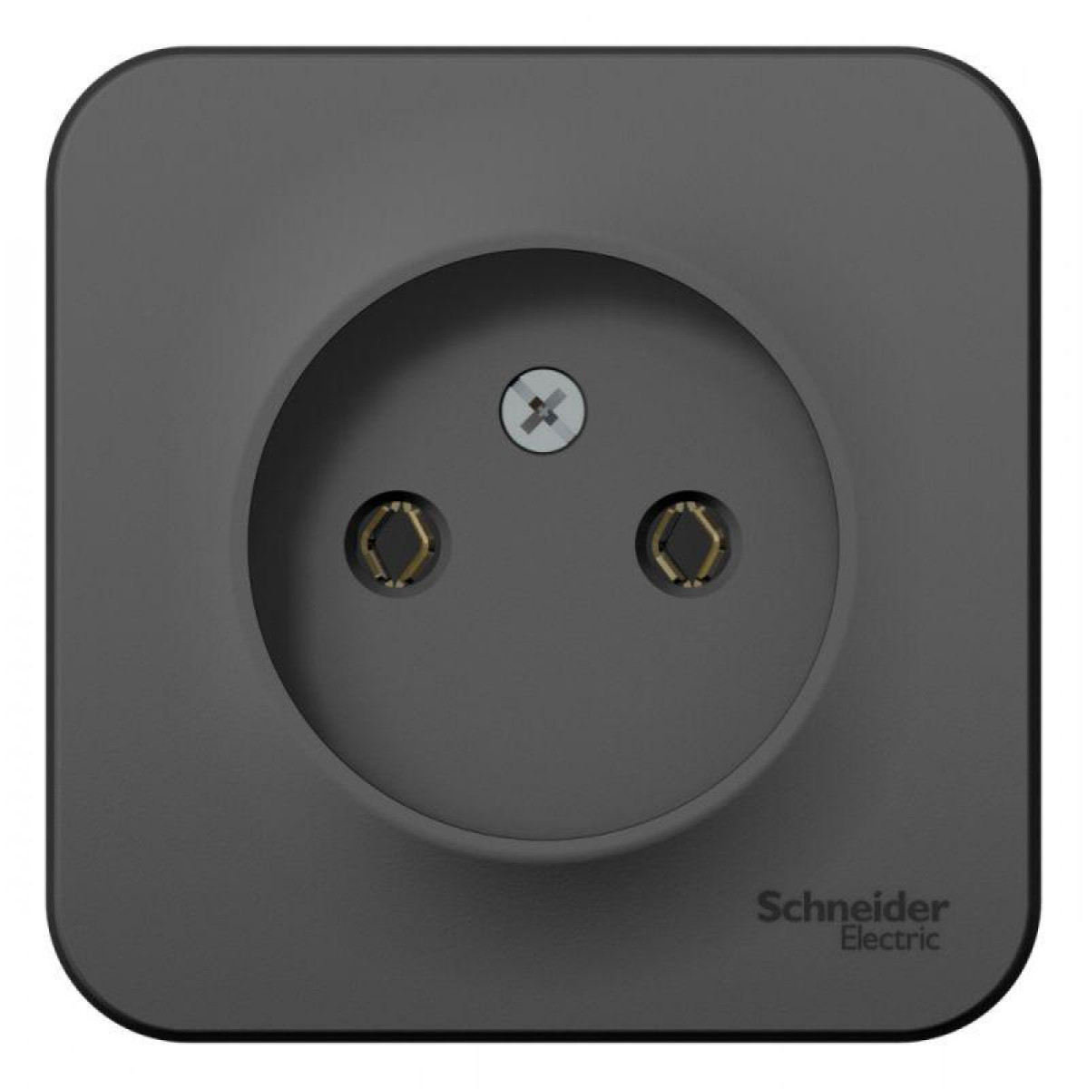 Изображение товара Розетка Systeme Electric Blanca 16А IP20 для внутренней установки Россия