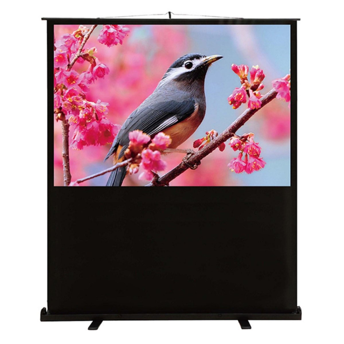 Изображение товара Экран Cactus CS-PSFLCE-120X90 90x120 см напольный рулонный 4:3