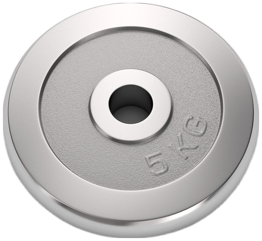 Изображение товара Диск хромированный Unix Fit 5 кг, 25 мм