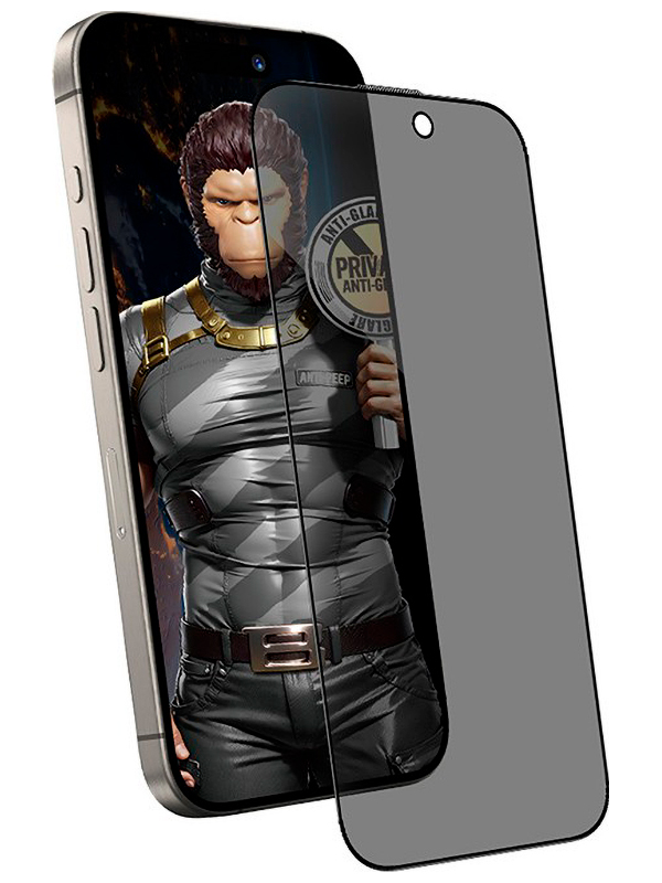 

Защитное стекло Type Gorilla Full Cover Anti-Peep, Matte Glass, iPhone16 pro, 6.3, Black (NPG1-16P-BK), Черный