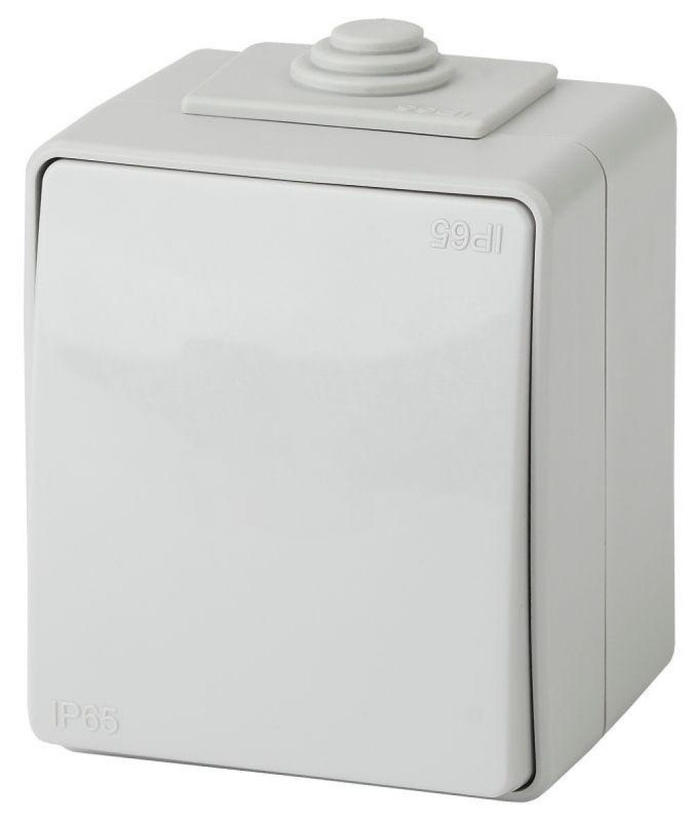 Изображение товара Выключатель одноклавишный IP65 ЭРА 10А 250В отключение света