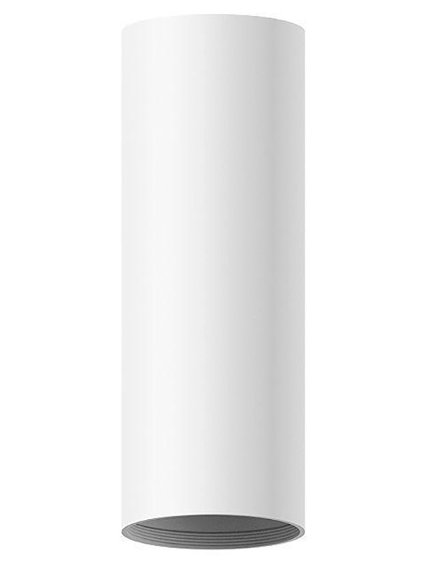 Изображение товара Корпус светильника Ambrella Light DIY Spot C7455